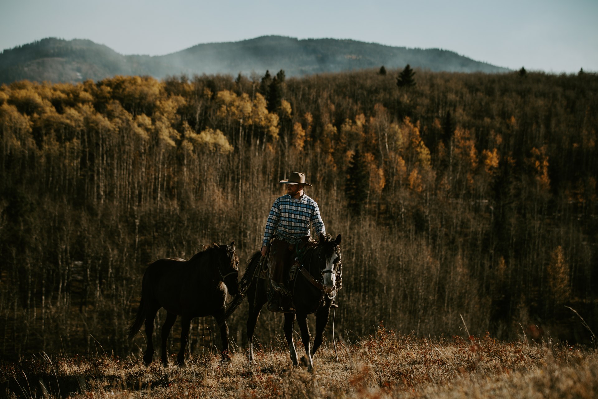 A rider leading pack horses across the ranch in autumn