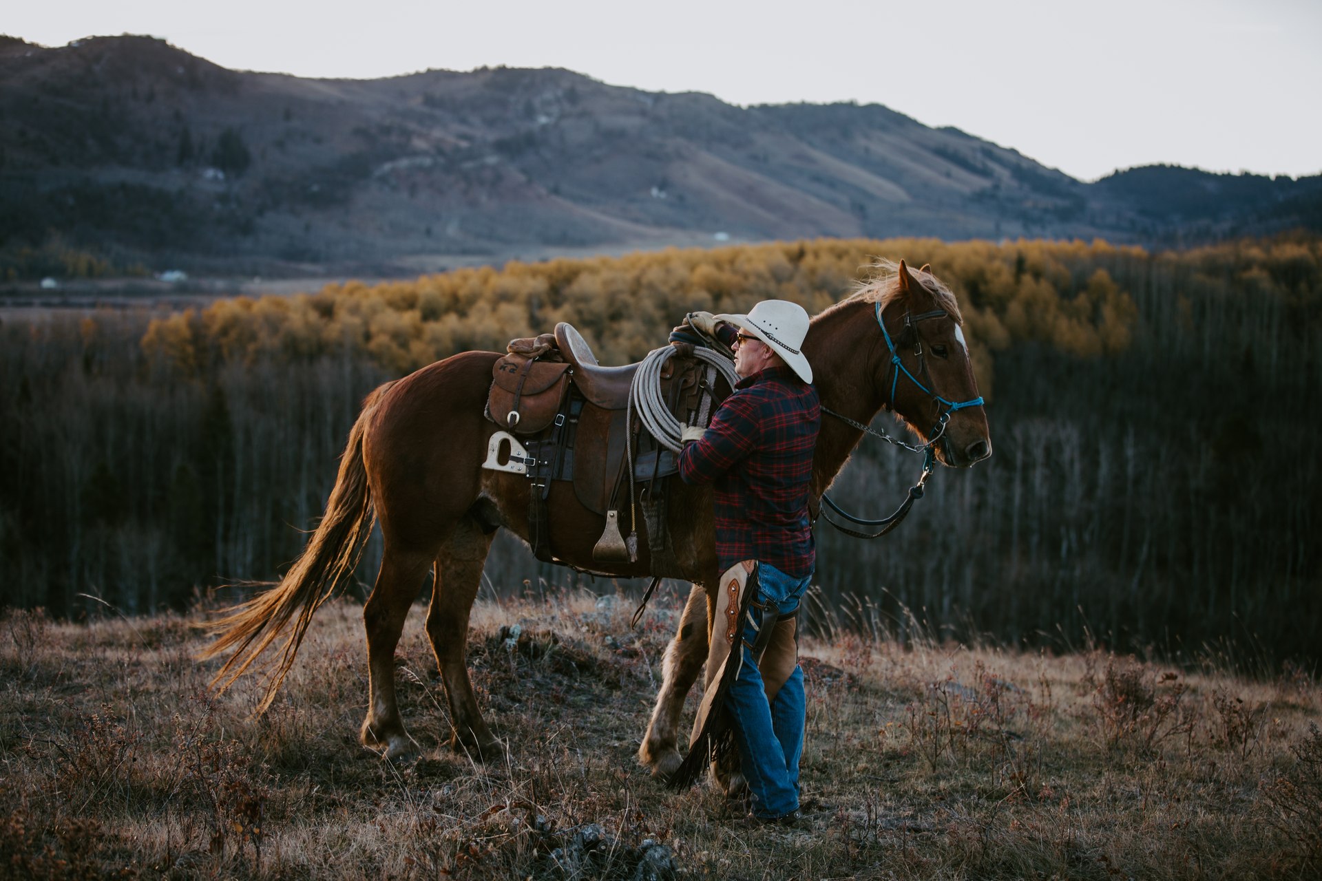 A ranch hand saddling a horse at dusk